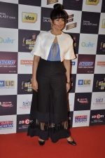 Sameera Reddy at Radio Mirchi music awards red carpet in Mumbai on 7th Feb 2013 (153).JPG